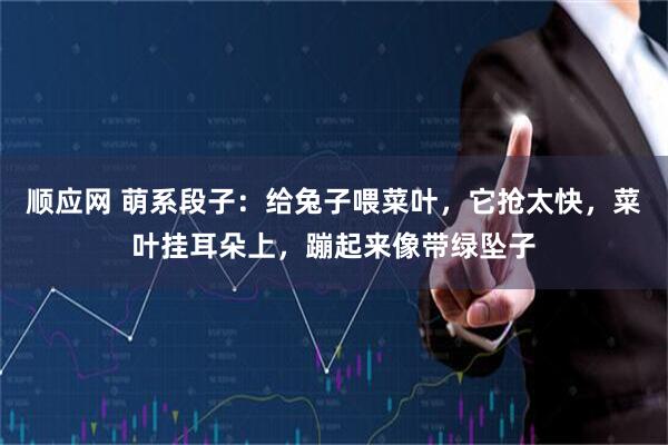 顺应网 萌系段子：给兔子喂菜叶，它抢太快，菜叶挂耳朵上，蹦起来像带绿坠子