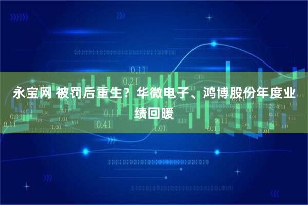 永宝网 被罚后重生？华微电子、鸿博股份年度业绩回暖