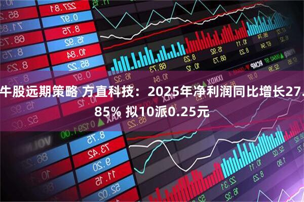 牛股远期策略 方直科技：2025年净利润同比增长27.85% 拟10派0.25元